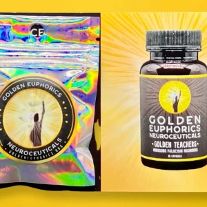 Golden Teacher Sample Pack – 10caps